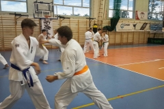 36436130_2168669983415494_5476159714163163136_n