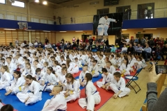 IMG_20190310_102943