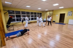 119164826_2805027043113115_6047946496167234863_n