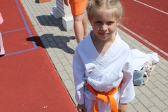 pokaz Popów Głowieński 11.06.2017 033