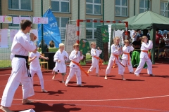 pokaz Popów Głowieński 11.06.2017 069