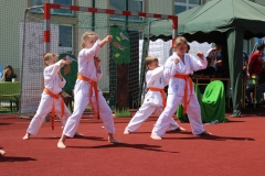 pokaz Popów Głowieński 11.06.2017 075