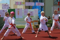 pokaz Popów Głowieński 11.06.2017 076