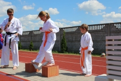 pokaz Popów Głowieński 11.06.2017 115