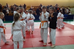 30716049_1769060786450539_25700418579333120_n