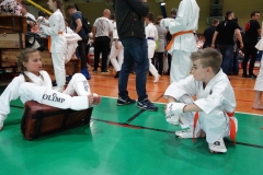 30716068_1769061463117138_5195085376296845312_n