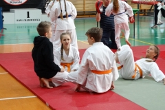 30725765_1769060769783874_3543741592823136256_n